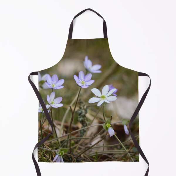 Item preview, Variations of Hepatica designed and sold by Jouko Lehto Photography.