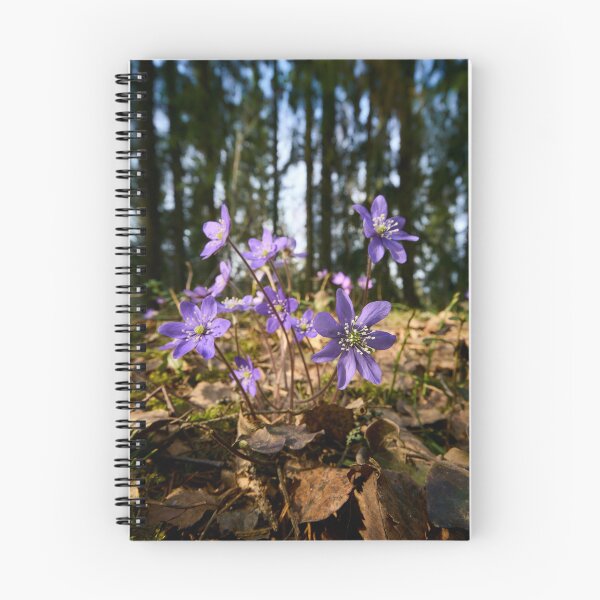 Item preview, Hepatica forest designed and sold by Jouko Lehto Photography.