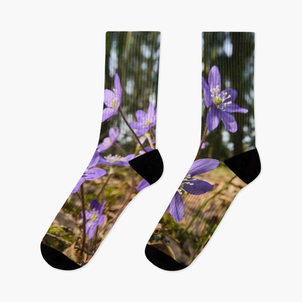 Item preview, Hepatica forest designed and sold by Jouko Lehto Photography.
