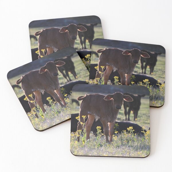 Item preview, Calf designed and sold by CircleSRanch.