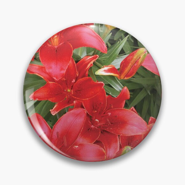 Artikelvorschau, Beautiful Bloom Red Spring Lilies Photo entworfen und verkauft von Here's To Endless Possibilities.
