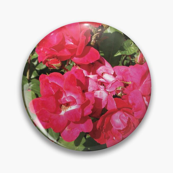 Artikelvorschau, Radiant Pink Flowers Photo entworfen und verkauft von Here's To Endless Possibilities.