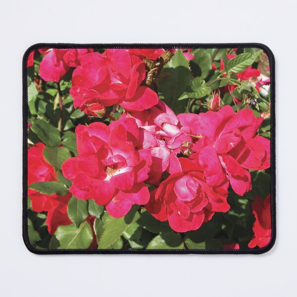 Artikelvorschau, Radiant Pink Flowers Photo entworfen und verkauft von Here's To Endless Possibilities.