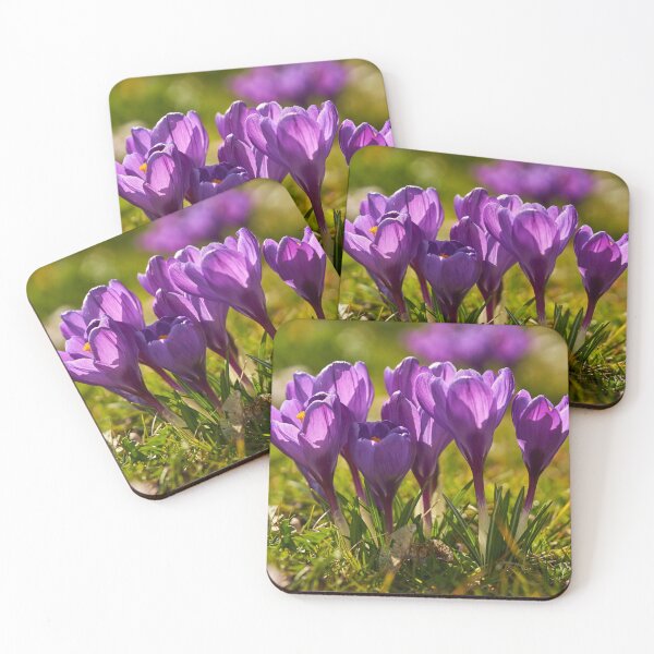Item preview, Crocus in the sunlight designed and sold by beatbieri.ch.