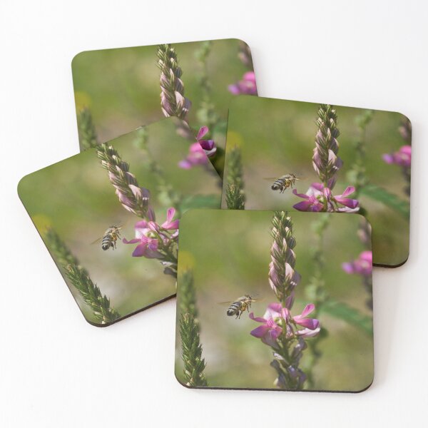 Item preview,  photographed in Interlaken (Switzerland) designed and sold by beatbieri.ch.