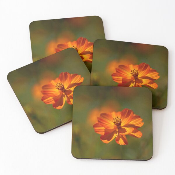 Item preview, Flower macro designed and sold by beatbieri.ch.