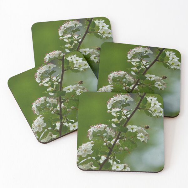 Item preview, Bee at work designed and sold by beatbieri.ch.