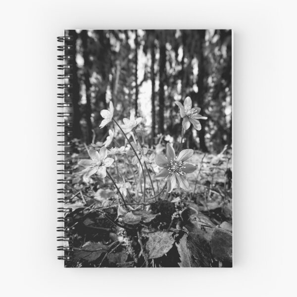 Item preview, Hepatica forest bw designed and sold by Jouko Lehto Photography.