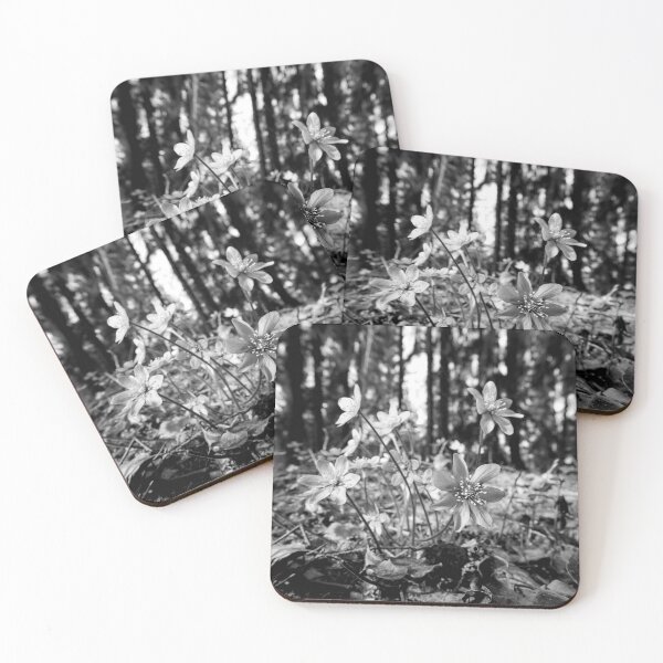 Item preview, Hepatica forest bw designed and sold by Jouko Lehto Photography.