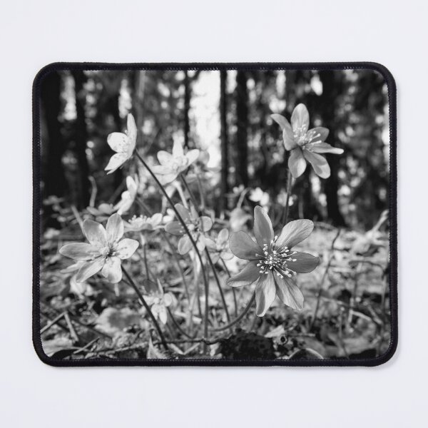 Item preview, Hepatica forest bw designed and sold by Jouko Lehto Photography.