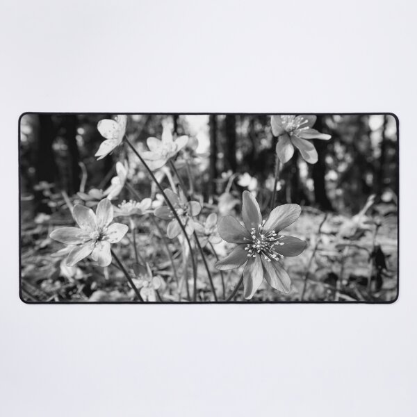 Item preview, Hepatica forest bw designed and sold by Jouko Lehto Photography.