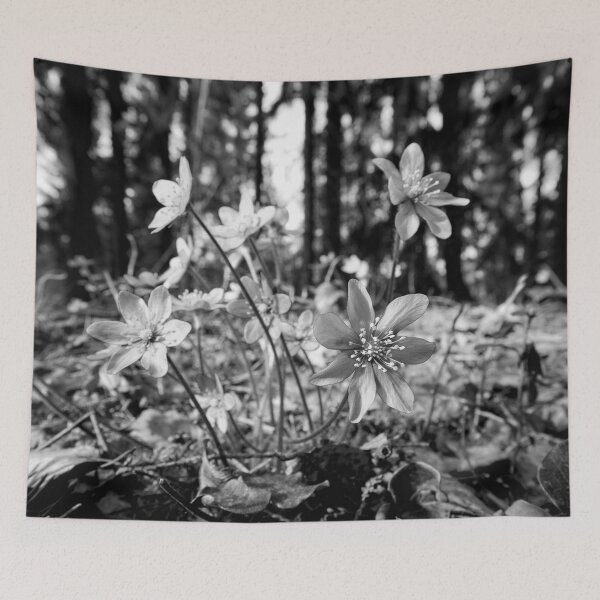 Item preview, Hepatica forest bw designed and sold by Jouko Lehto Photography.