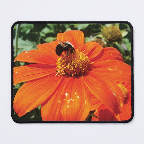 Item preview, Pollinating Life in the Spring Garden Water Color designed and sold by Here's To Endless Possibilities.
