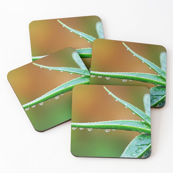 Item preview, Water pearls on aloe vera – freshness, structure and natural detail designed and sold by beatbieri.ch.