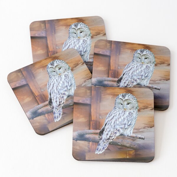 Item preview, Ural Owl – Expressive portrait of a rare owl designed and sold by beatbieri.ch.