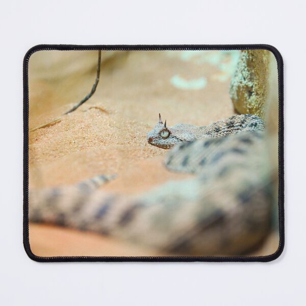 Item preview, Snake in the sand – perfect camouflage in nature designed and sold by beatbieri.ch.