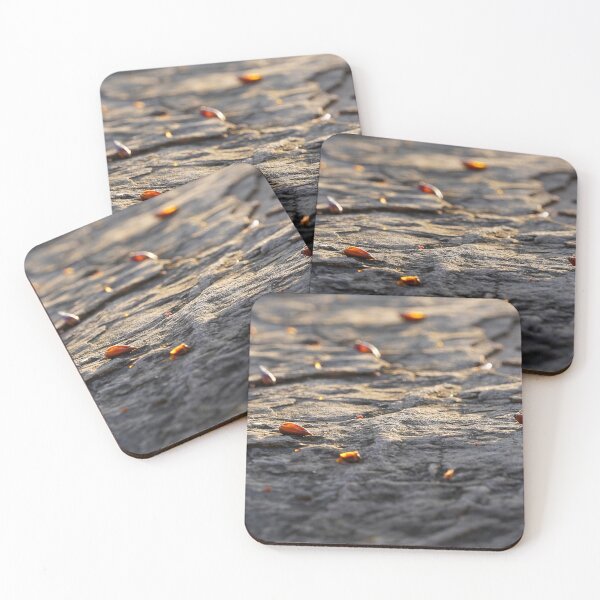 Item preview, Autumn light – Golden mood in the play of light and leaves designed and sold by beatbieri.ch.
