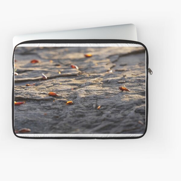 Item preview, Autumn light – Golden mood in the play of light and leaves designed and sold by beatbieri.ch.