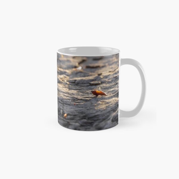 Item preview, Autumn light – Golden mood in the play of light and leaves designed and sold by beatbieri.ch.