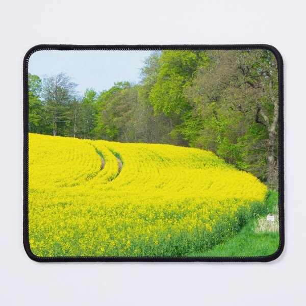 Item preview, Spring splendor in Schleswig-Holstein designed and sold by jchanders.