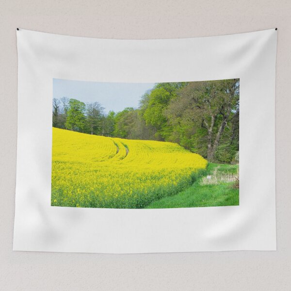Item preview, Spring splendor in Schleswig-Holstein designed and sold by jchanders.