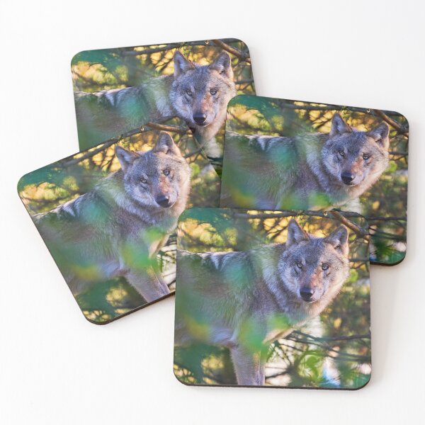 Item preview, Wolf – Majestic predator in the wild designed and sold by beatbieri.ch.