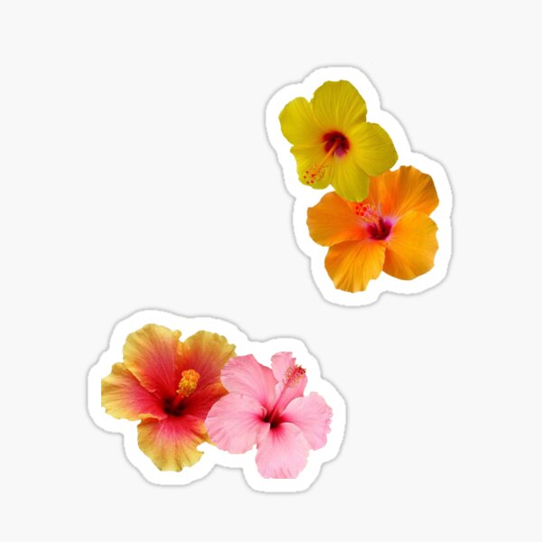 Item preview, Pretty Hibiscus designed and sold by SadGirlSupply.