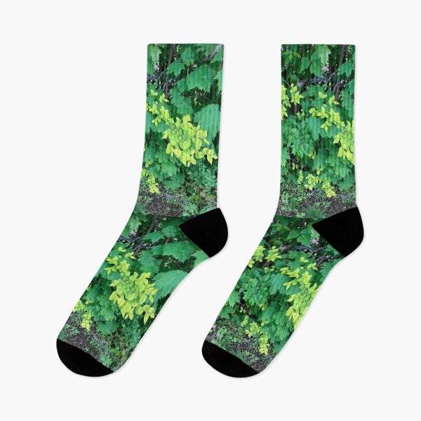 Item preview, Various Shades of Green Growing Plants  designed and sold by Amanda1775.