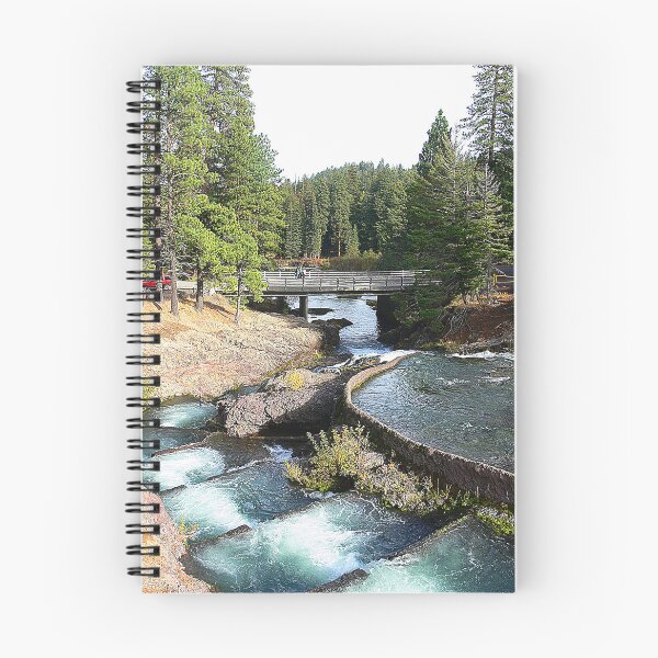 Item preview, Stairway to Spawning  ( 1 )  designed and sold by Larry Davis.