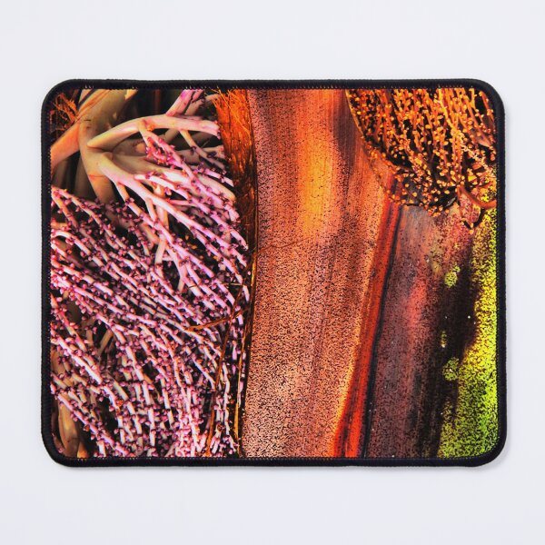 Item preview, The Colour of Palms ( 1 ) designed and sold by Larry Davis.