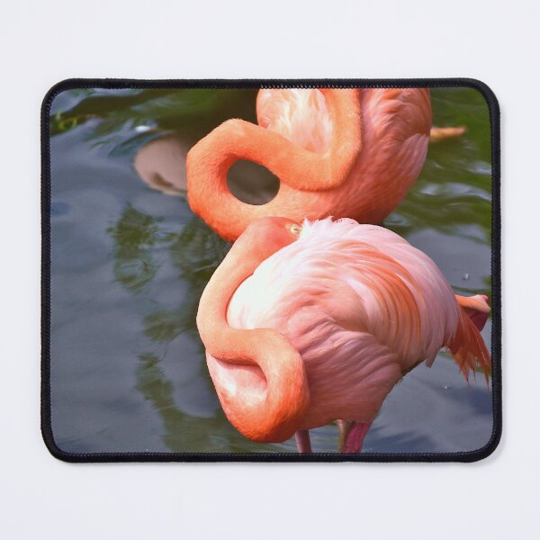 Item preview, Three Amigos designed and sold by MercerImages.