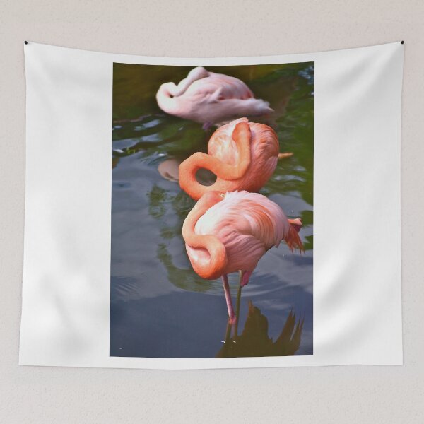 Item preview, Three Amigos designed and sold by MercerImages.
