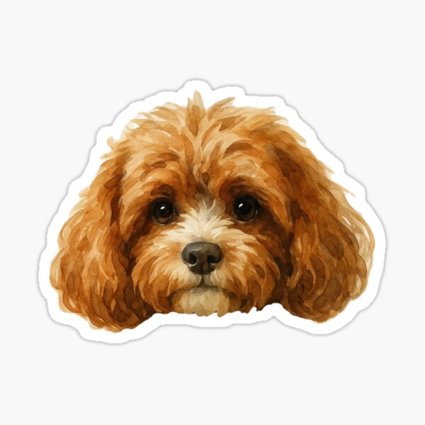 Item preview, Cavapoo Head designed and sold by hkerkering123.
