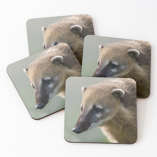Item preview, Curious Coati Face Close-Up designed and sold by rawshutterbug.