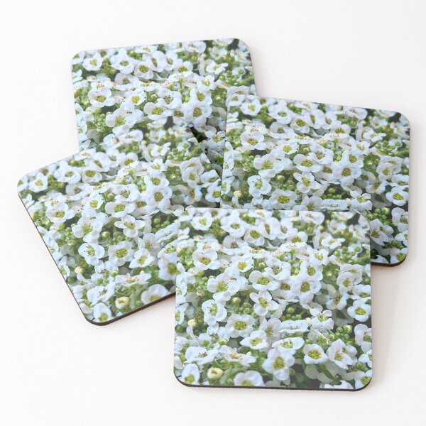 Item preview, Sweet Alyssum designed and sold by Betsy Phillips.