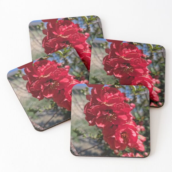 Item preview, Quince designed and sold by Betsy Phillips.