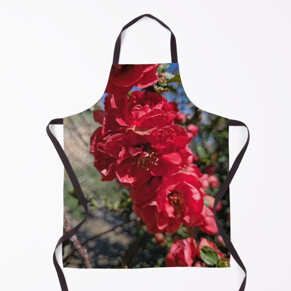 Item preview, Quince designed and sold by Betsy Phillips.