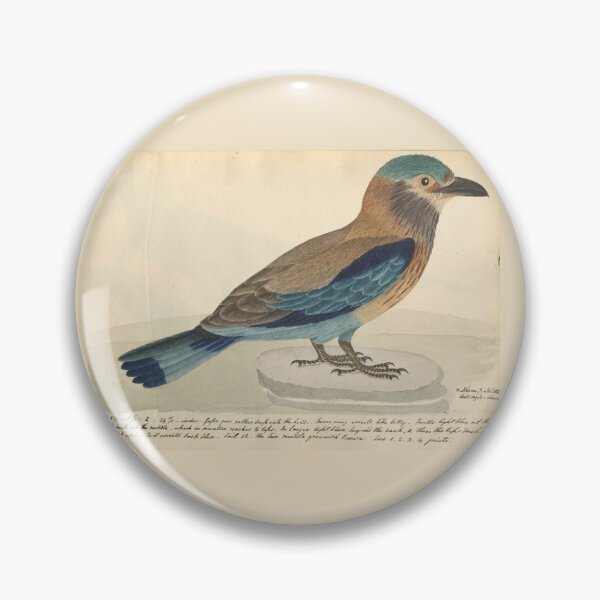 Item preview, Indian Roller by Frederick John Shore designed and sold by Amanda1775.