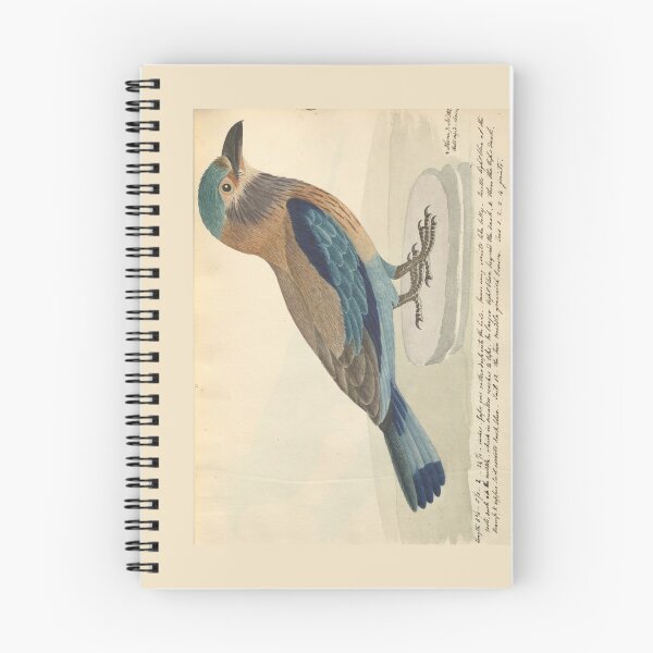 Item preview, Indian Roller by Frederick John Shore designed and sold by Amanda1775.