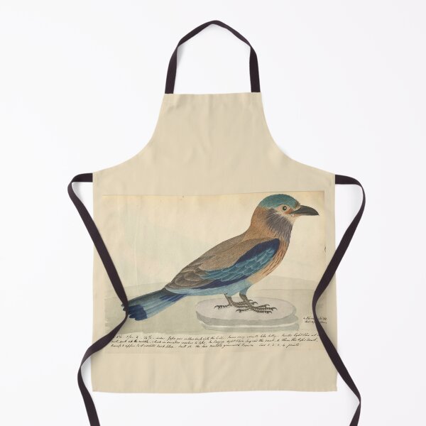 Item preview, Indian Roller by Frederick John Shore designed and sold by Amanda1775.