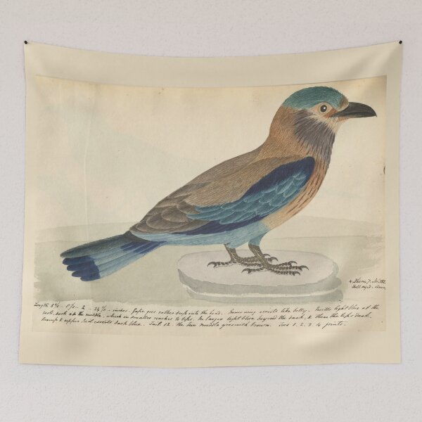 Item preview, Indian Roller by Frederick John Shore designed and sold by Amanda1775.