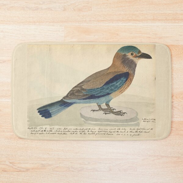 Item preview, Indian Roller by Frederick John Shore designed and sold by Amanda1775.