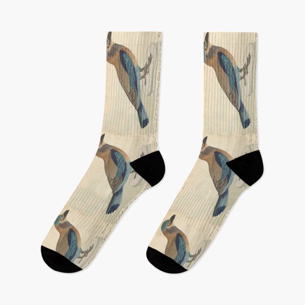 Item preview, Indian Roller by Frederick John Shore designed and sold by Amanda1775.