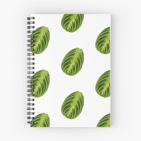 Item preview, Maranta  designed and sold by thedailypidge.