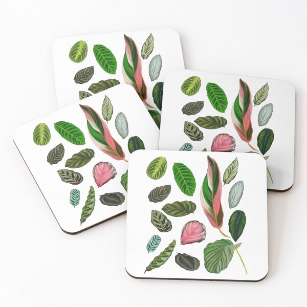 Item preview, Prayer Plants designed and sold by thedailypidge.