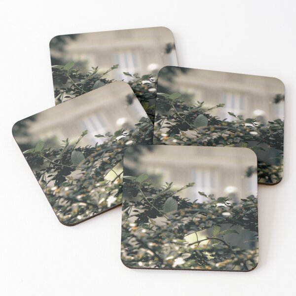 Item preview, Nature’s Whisper – Calming Leaves in Urban Stillness designed and sold by branaghbel.