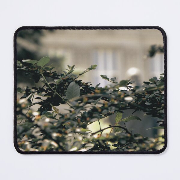 Item preview, Nature’s Whisper – Calming Leaves in Urban Stillness designed and sold by branaghbel.