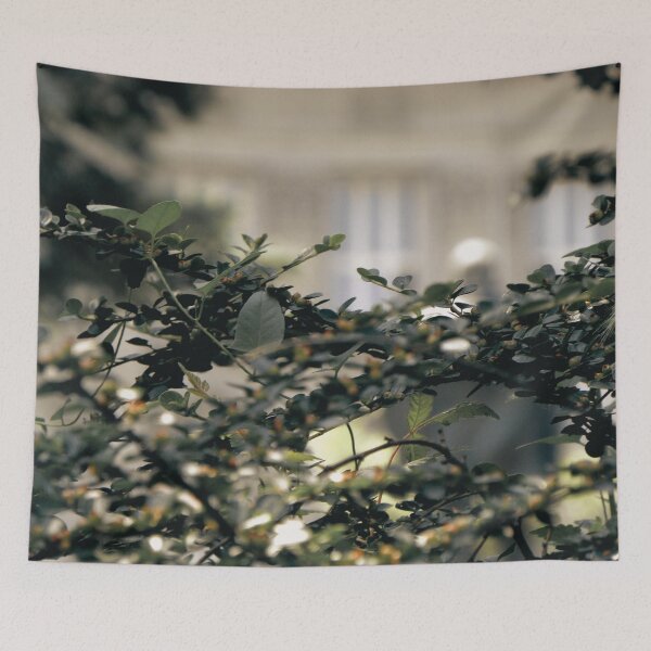 Item preview, Nature’s Whisper – Calming Leaves in Urban Stillness designed and sold by branaghbel.