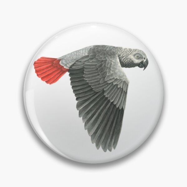 Item preview, African grey parrot in dry pastel designed and sold by Chouetteplanete.