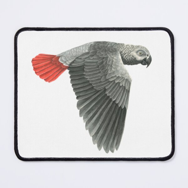 Item preview, African grey parrot in dry pastel designed and sold by Chouetteplanete.